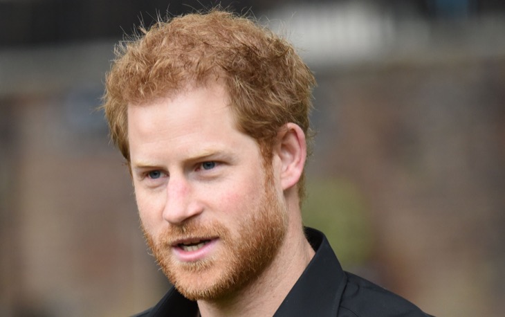 Prince Harry Is Jealous Of King Charles And Queen Camilla