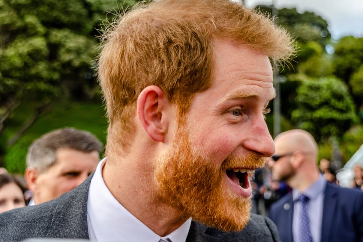 Prince Harry Sold Family Secrets Because Didn't Know How to Make Money