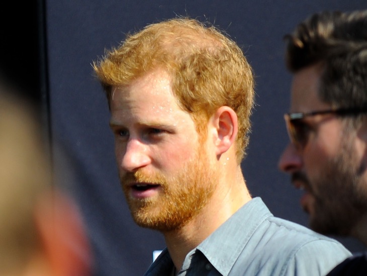 Prince Harry Cancelled Meeting With Prince William Over Leak Concerns