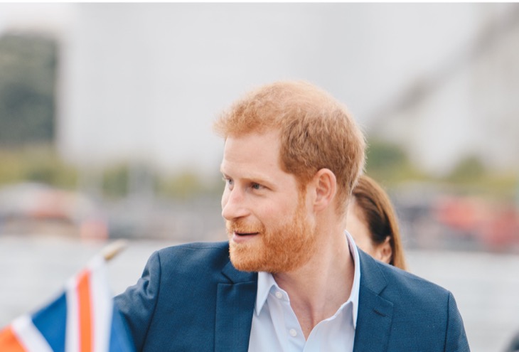 Prince Harry Over Exposed—On OnlyFans? What?!