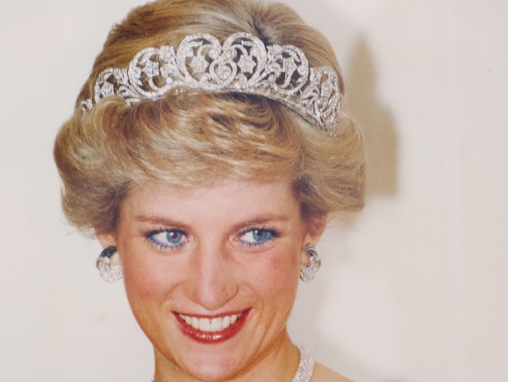 Princess Diana Would Have Wanted To Settle Prince William And Harry Feud Privately