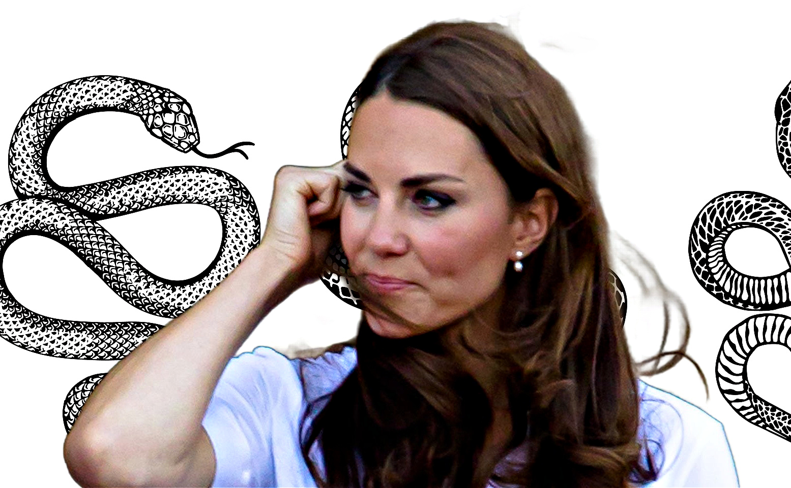 Kate Middleton Thrown Into Nasty Royal Snake Pit