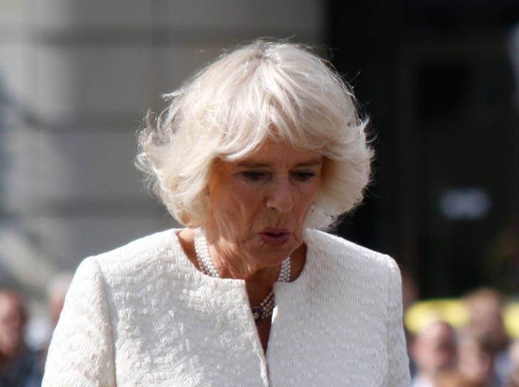 Queen Camilla Wants To Quit Her Royal Duties As Well