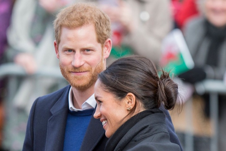 Prince Harry And Meghan Markle's Popularity In Danger Of Fizzling Out