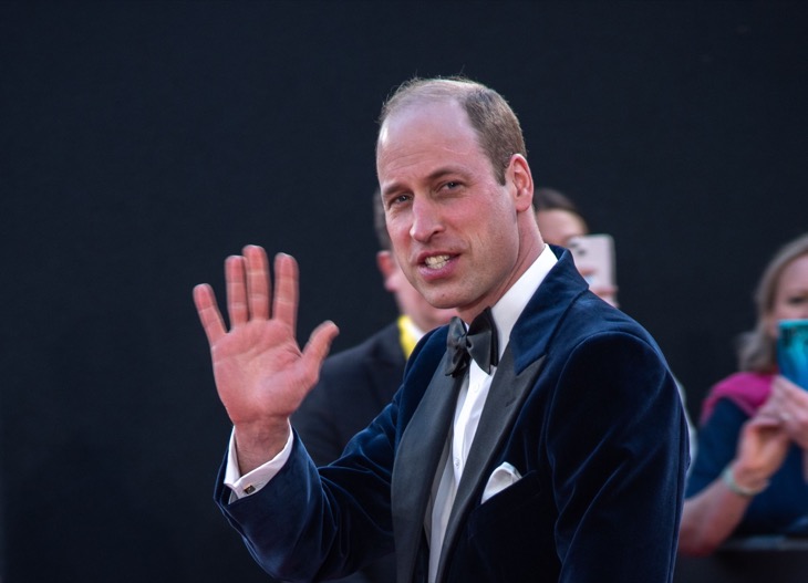 Prince William Urged To Reach Out To Prince Harry For This Reason