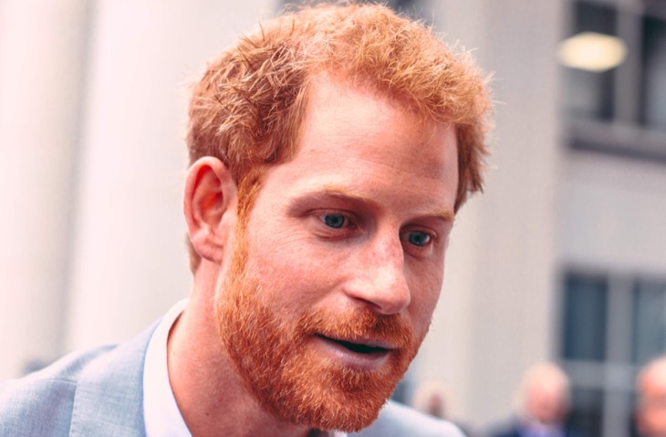 Prince Harry Is Still The Pariah Of The Royal Family