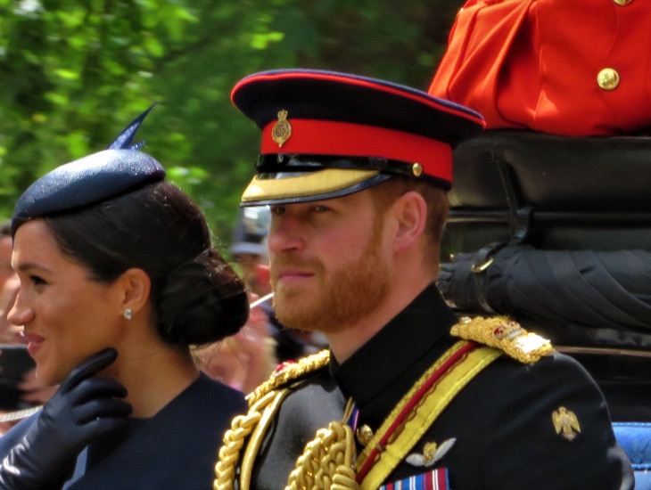 Prince Harry And Meghan Markle Pressured To Return To Their Royal Roles