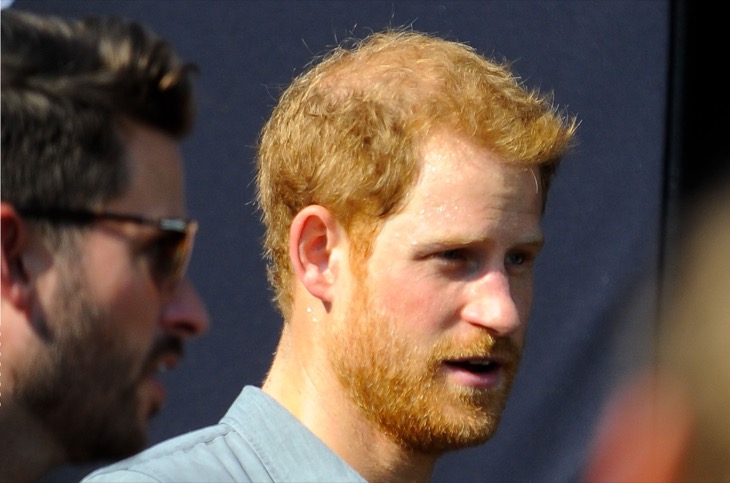 Prince Harry Paranoid About Royal Payback, Karma Is A …!