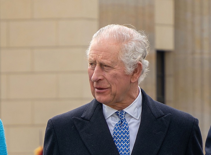 King Charles Biggest Regret About Prince Harry’s Childhood