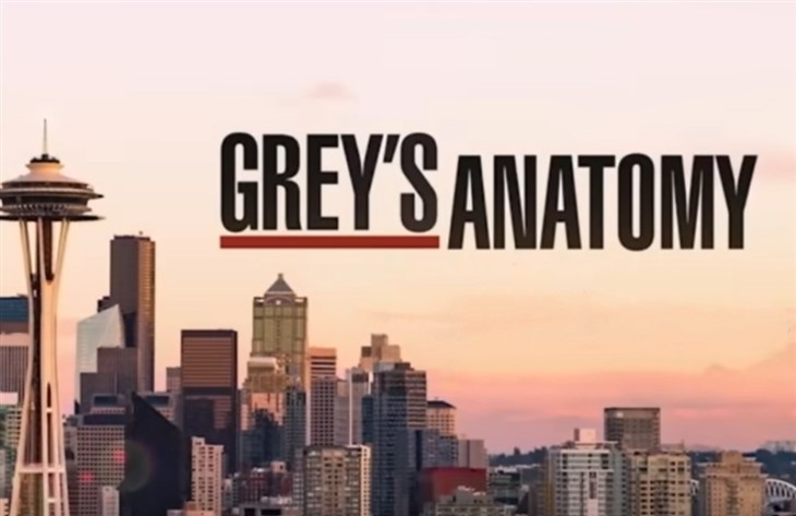 Grey's Anatomy Season 21 Getting All NEW Cast?