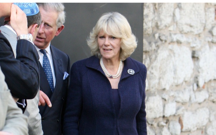 Queen Camilla’s Son Has A New Book Coming Out