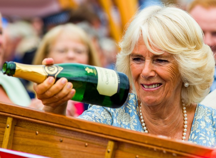 Queen Camilla Best Thing To Happen To The Royal Family