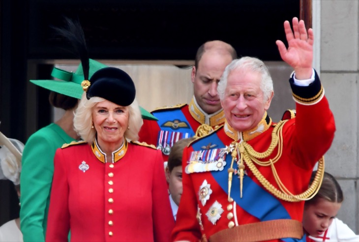 Queen Camilla Won’t Allow King Charles To See Prince Harry