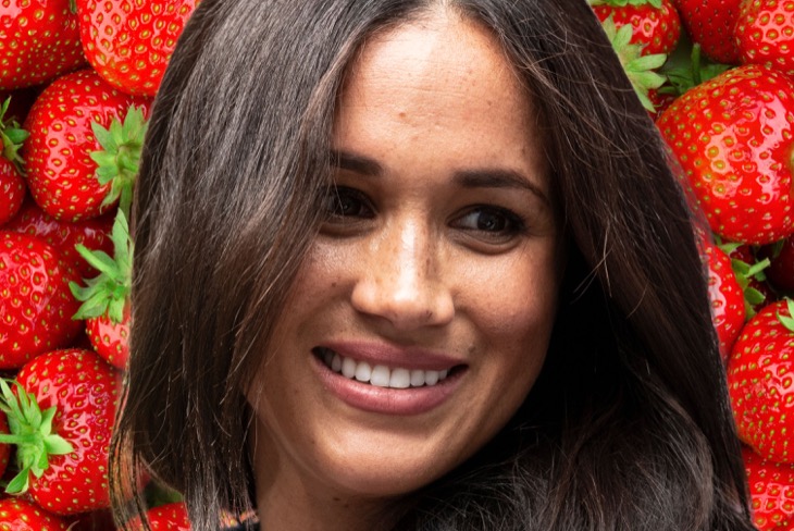 Meghan Markle's Free Strawberry Jam Lacks Authenticity, Idea Stolen From King Charles