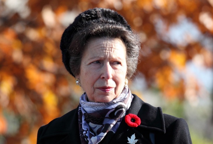 Why Princess Anne Can't Fill In For King Charles In Prince William's Absence Explained