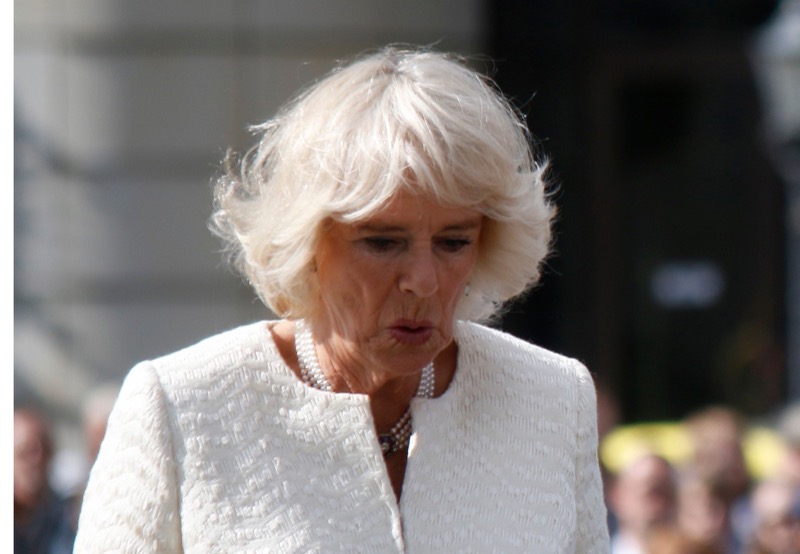 Queen Camilla Shuts Down Prince Harry And Meghan Markle