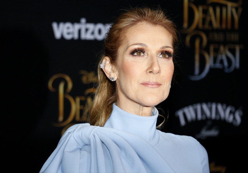 Celine Dion Reveals Real Reason She Wore A Coat At Grammy's