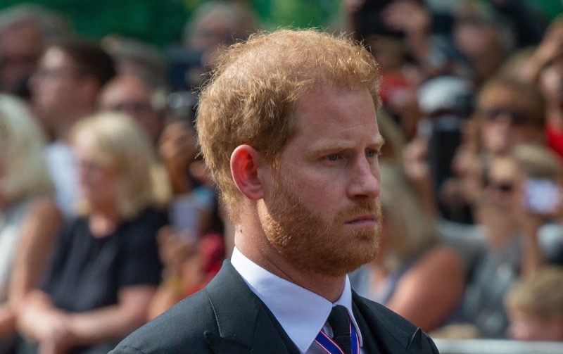 Prince Harry Feels Stuck Between King Charles And Meghan Markle