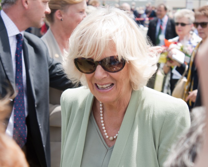 Queen Camilla Is The Reason Why King Charles Is Ignoring Prince Harry