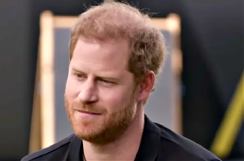 Prince Harry Wants To Know Who Is Leaking His Stories