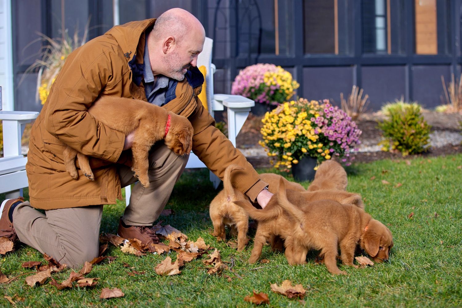 Everything Puppies on Hallmark Channel