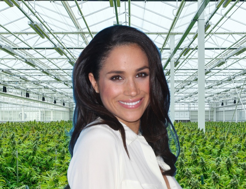 Meghan Markle Cooking Show Filmed On A Cannabis Farm?