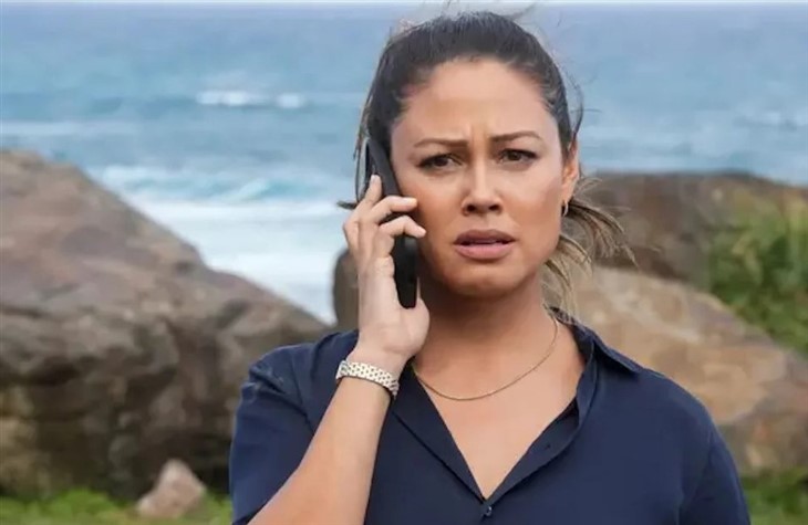 NCIS Hawaii: Vanessa Lachey Apologizes To Cast Members