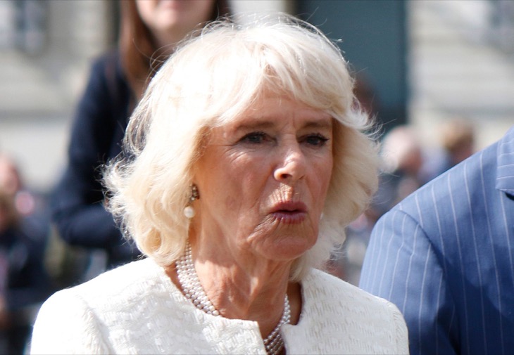 Here’s How Camilla Parker-Bowles Became Queen of England And Not Queen Consort