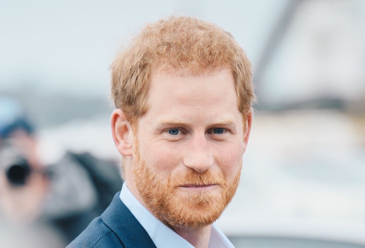 Did Prince Harry Really Ditch His Son Archie’s Birthday Party To Attend The 2024 Met Gala?