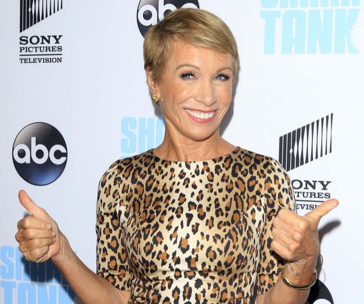 Barbara Corcoran's Shocking Plastic Surgery Plans