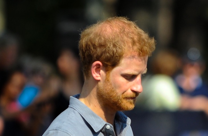 Should Prince Harry Step Down From Invictus Games Amid Major Royal Reshuffle?