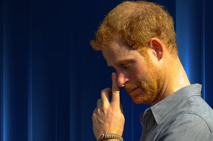 Prince Harry Was Snubbed By Entire Family, Given Taste of His Own Medicine