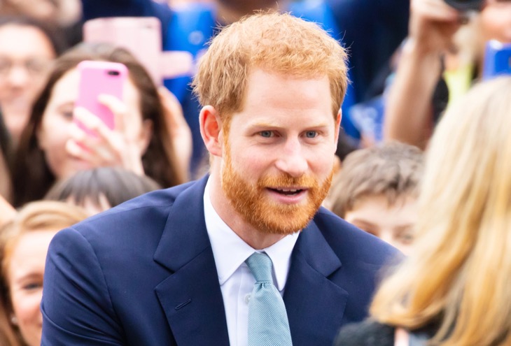 Prince Harry Is Furious With King Charles For This Reason