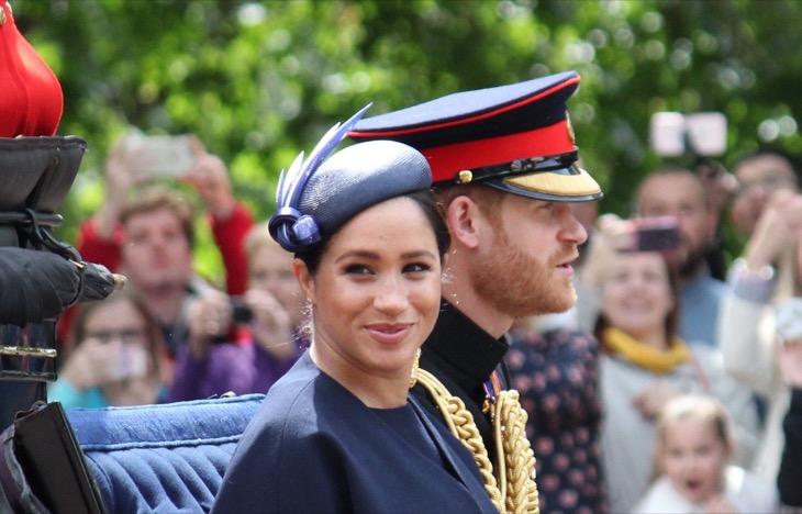 Prince Harry & Meghan Setting Themselves Up To Be Alternative Royals