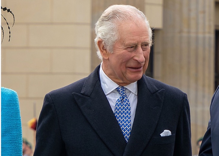 King Charles Wants Answers From Prince Harry About Nigeria