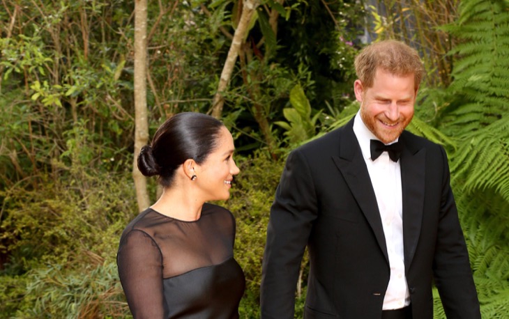 Prince Harry And Meghan Are Already Planning Another Trip To Africa