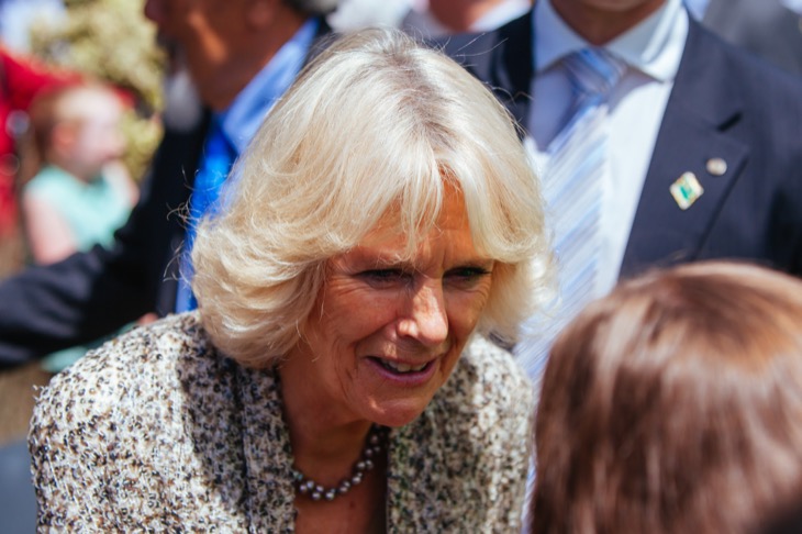 Queen Camilla Is Now The Most Popular Member Of The Royal Family