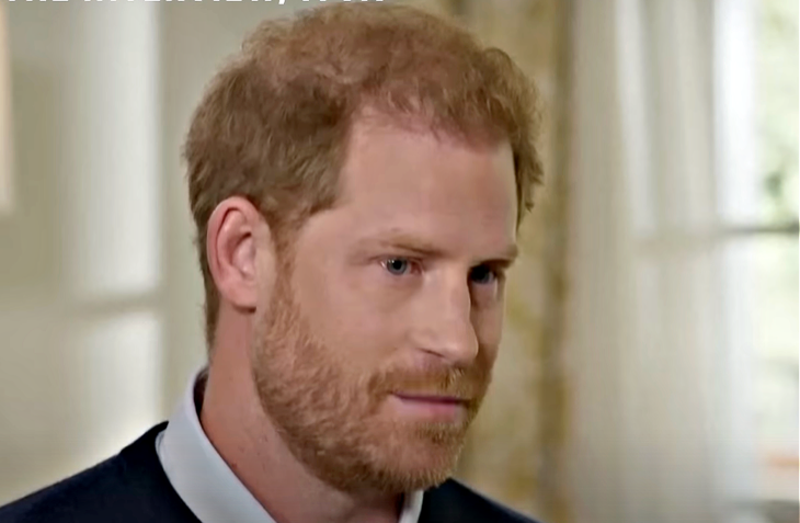 Prince Harry Is Putting His California Life At Risk?