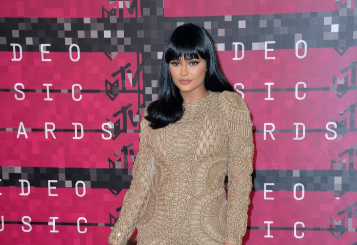 Kylie Jenner Creeps Fans Out With Handsy Photo