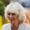 Queen Camilla Wants Kate Middleton To Stay Out Of The Spotlight