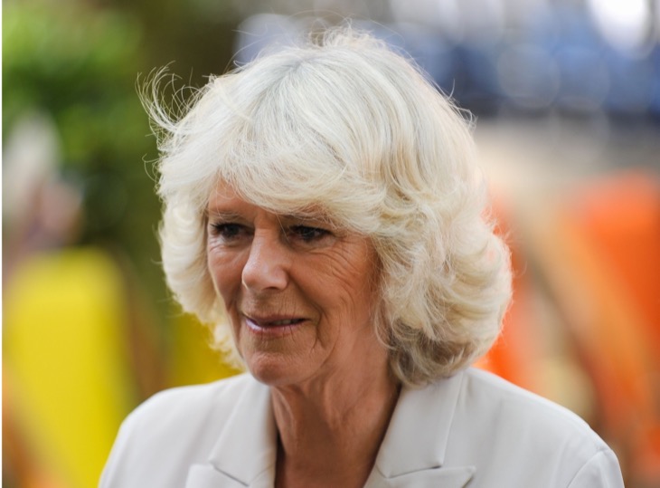 Queen Camilla Wants Kate Middleton To Stay Out Of The Spotlight