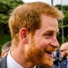 Prince Harry Can’t Return To The Royal Family Because Of Queen Camilla