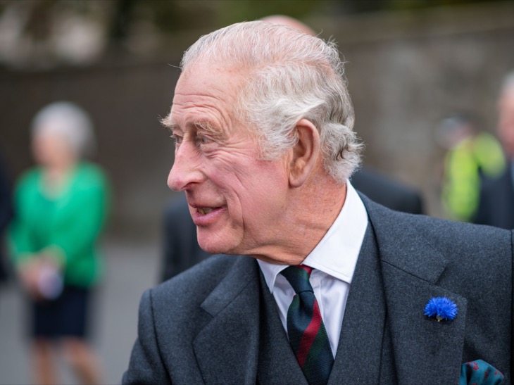 King Charles Means To Teach Prince Harry This By Giving Frogmore To Prince Andrew