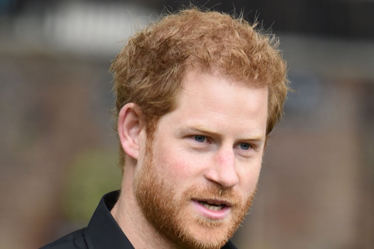 Prince Harry Desperate For Meghan To Get Back to Work, Calling ALL Of His “Contacts”