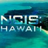 CBS President Responds To Angry NCIS: Hawaii Fans