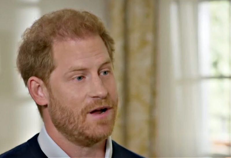 Prince Harry Is Only With Meghan Markle For The Sake Of His Kids?