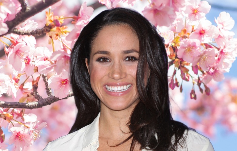 Meghan Markle Livid With Prince Harry’s Best Friend For Embarrassing Her