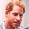 Prince Harry Has A New Emotional Plan In Place For Kate Middleton