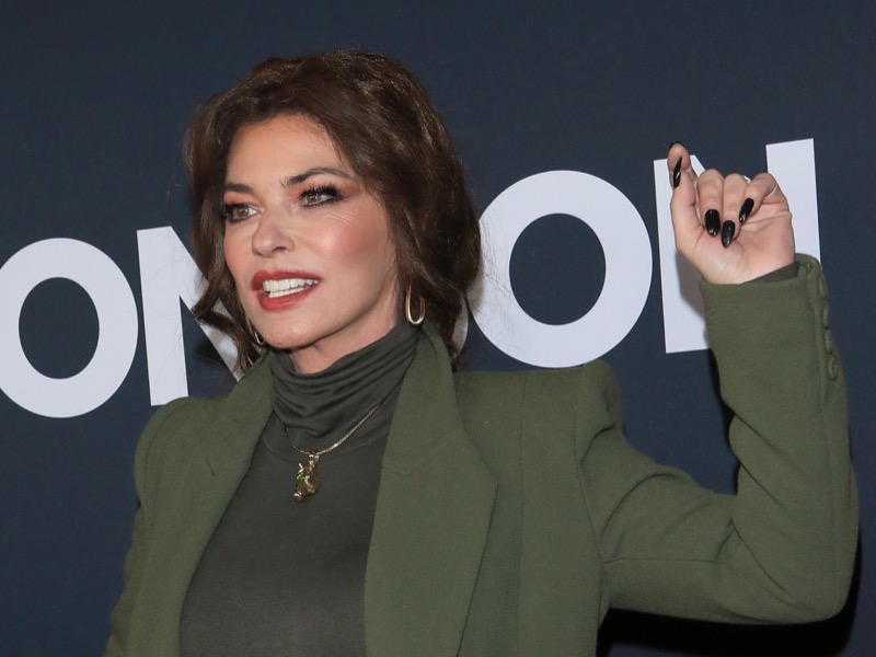 Shania Twain Made This Shocking Claim About Harry Styles