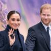 Archie And Lilibet Denied Their Royal Rights By Prince Harry And Meghan